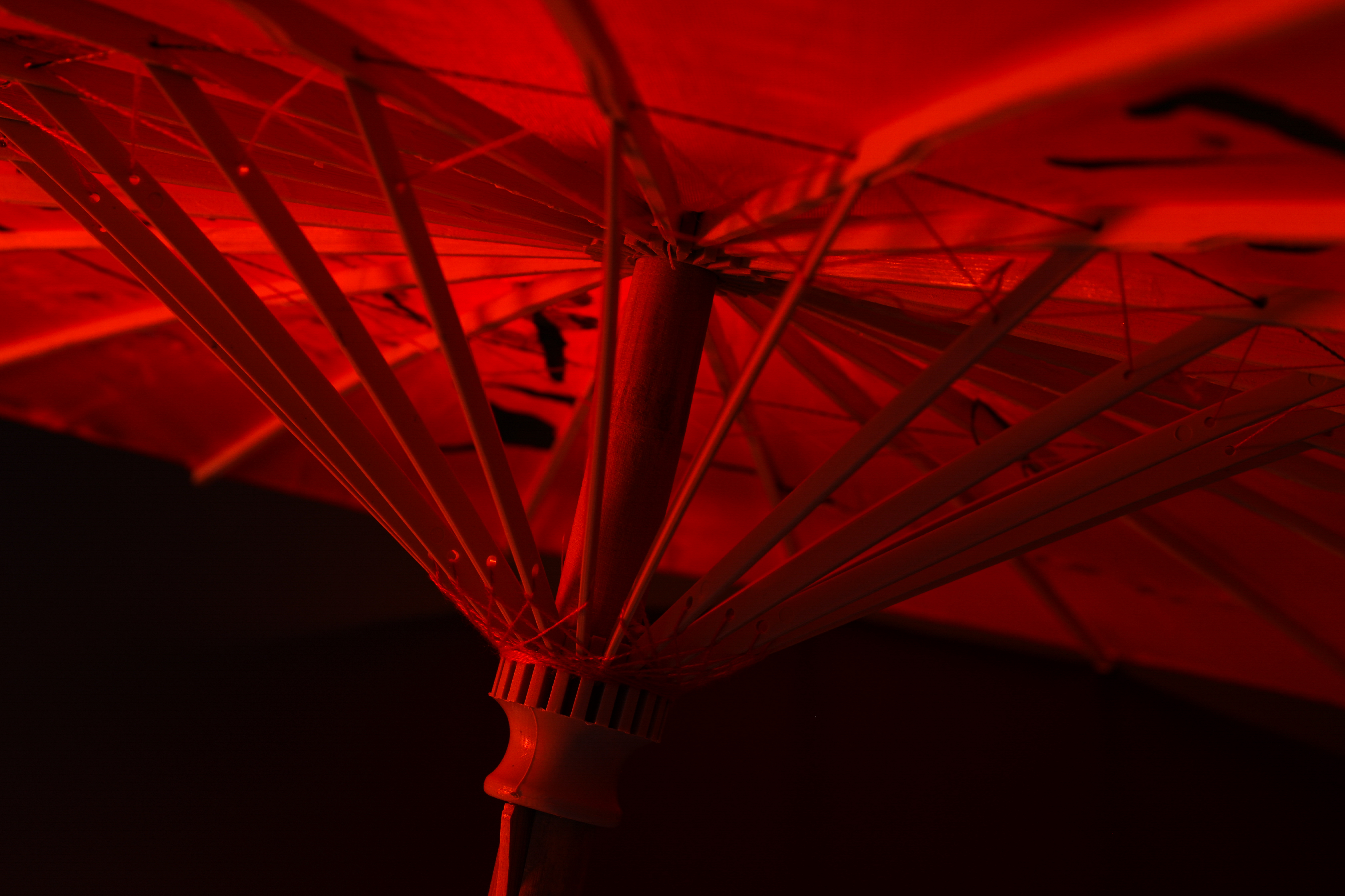 Hosting Illustration